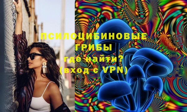 apvp Ижевск